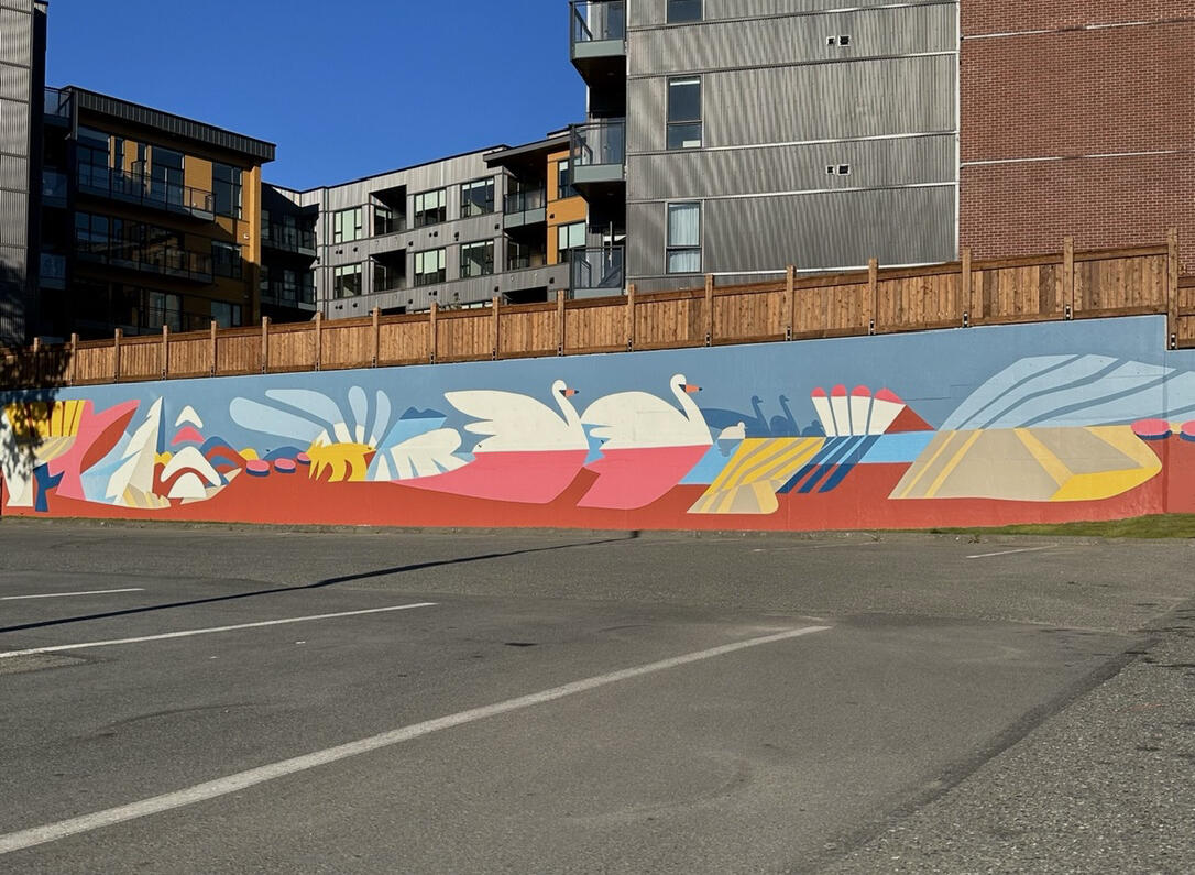 Shadow and Reflection